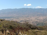 IMG20230205115222