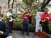 IMG20230208155205_1