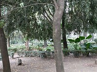 IMG20230208165217