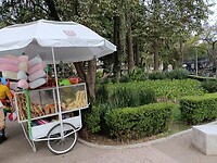 IMG20230208163023
