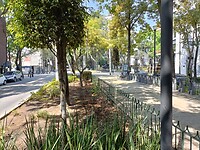 IMG20230208120204