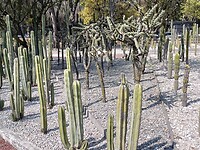 IMG20230212141601