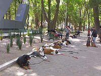 IMG20230213125634