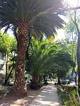 IMG20230213143701