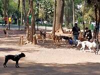 IMG20230213124424