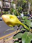 IMG20230213134655