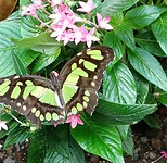 IMG_20230217_174957