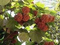 IMG-20230217-WA0039