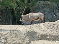 IMG20230217132808