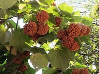 IMG20230217120650