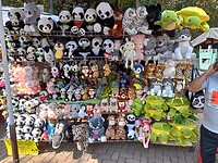 IMG20230217144849