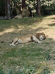 IMG20230217130712