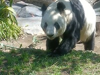 IMG20230217123740