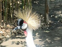 IMG20230217123632
