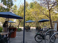 IMG20230221154536