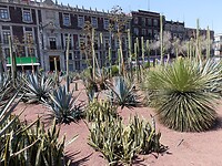IMG20230221130531
