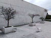 IMG20230222123259