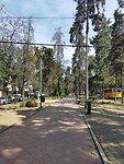 IMG20230224144940