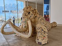 IMG20230224142503