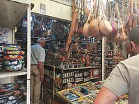 IMG20230227132449