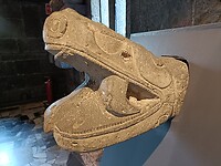 IMG20230228130940