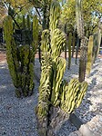 IMG20230305151728