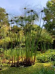 IMG20230305150404