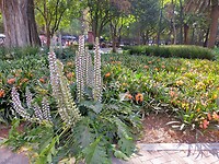 IMG20230305152724