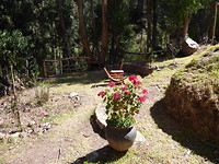 Onze veranda in pisac