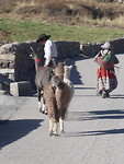 Onderweg wandelend naar onze colca lodge