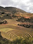 Moray