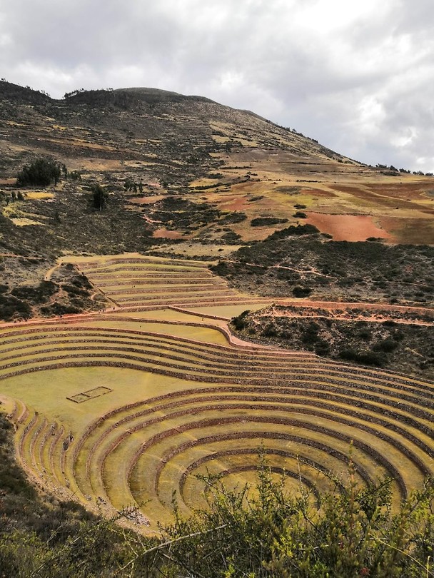 Moray