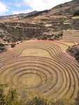 Moray