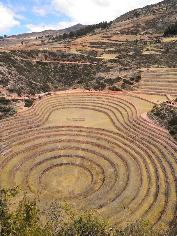 Moray