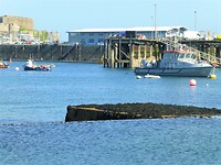 P1170954