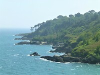 P1170985