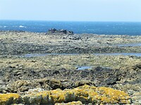 P1180161
