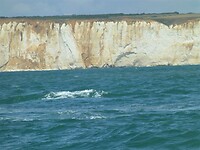P1190308