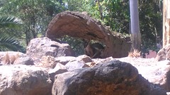 2016-03-01 13.52.07
