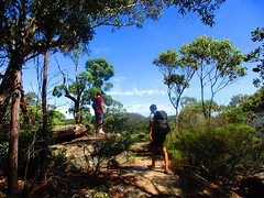 blue mountain 2