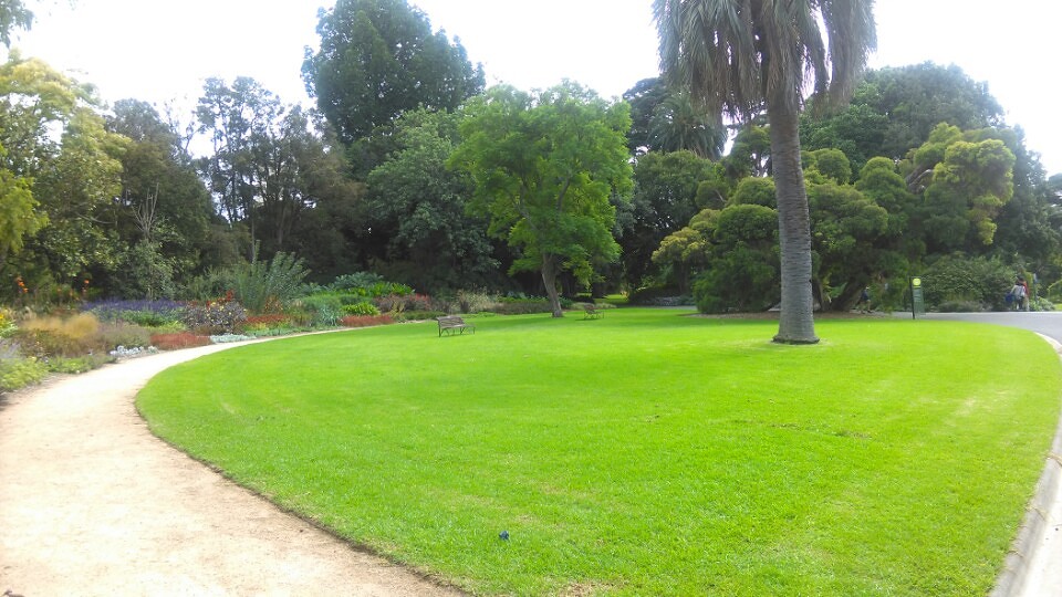 botanic gardens