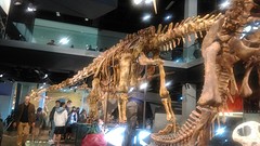 Museum