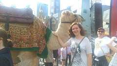 Kameel in federation square