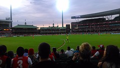 circket stadium