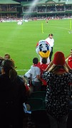De mascotte