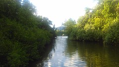 krokodillen cruise