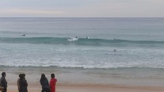 surfers