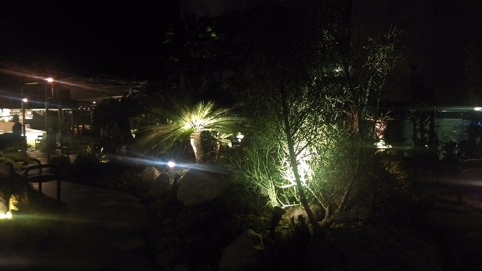 cactustuin 2