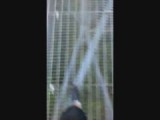 Skywalk in the Tamborine Rainforest.