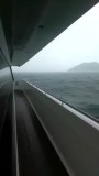 dolfijn kijken in de storm